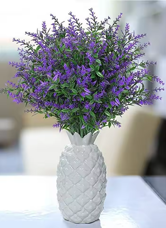 Plants That Make Your Home Aesthetic screenshot 2026 04 28 033358