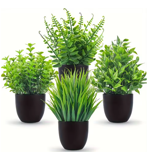 Plants That Make Your Home Aesthetic screenshot 2026 04 28 035116