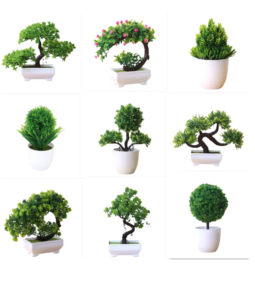 Plants That Make Your Home Aesthetic screenshot 2026 04 28 035421