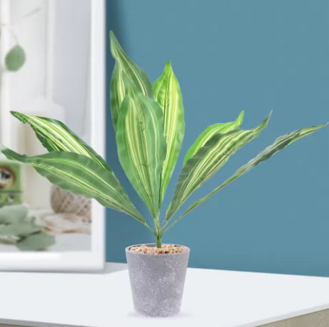Why Your Home Needs Biophilic Design screenshot 2026 05 10 075049
