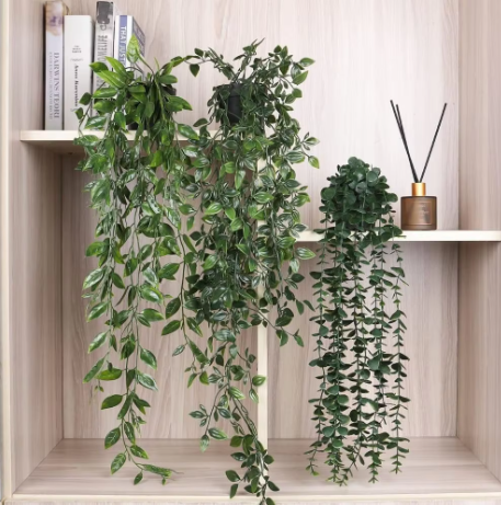 Why Your Home Needs Biophilic Design screenshot 2026 05 10 075419