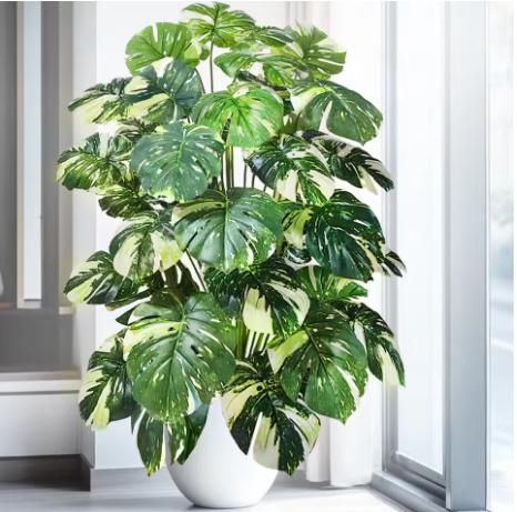 Why Your Home Needs Biophilic Design screenshot 2026 05 10 075700