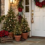 . Cluster Your Mini Trees. Modern garden patio with a water feature and soft accent lighting under trees at night.